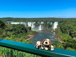 Parque Nacional do Iguaçu Grenzen zijn niet altijd eerlijk getrokken. De watervallen van Iguazu liggen grotendeels op Spaans grondgebied (nu...