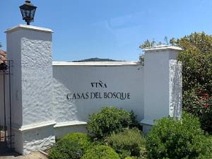 Viña Casas del Bosque Chili is gekend voor zijn goede en goedkope wijn. Onze reisleider heeft dan ook een lunch en proeverij ingepland in een...