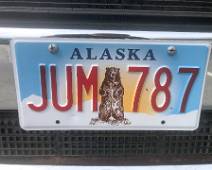 IMG_7582 Zouden er beren zijn in Alaska?