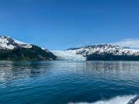 64FF9013-7A82-409C-9BE7-62DA61056A08 Aialik Bay - Pedersen Glacier