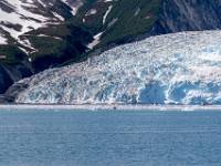 C02_5227 Aialik Bay - Aialik Glacier - Park Service patrouille