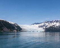 T02_7340 Aialik Bay - Pedersen Glacier