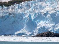 W01_5700 Aialik Bay - Aialik Glacier - spelende en rustende zeehonden onder de ijsmuur.