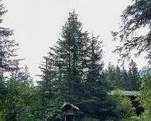 IX2_9393 De lodge is omgeven door sparrenbossen. Er wonen ook gremlins in het bos.