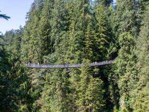 Capilano Suspension Bridge park