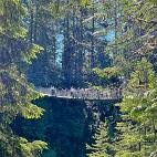 IX2_9611 Nog meer kijklustigen.