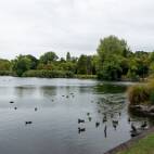 DSC03396 Western Springs Park, waar Auckland ooit zijn drinkwater haalde