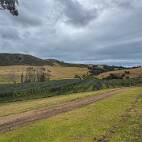 IXV_3392 Waiheke - Stoneyridge Vineyard