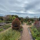 IXV_3399 Waiheke - Mudbrick Vineyard