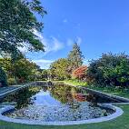 IMG_1817 Mona Vale Garden Park - rustige vijver in de schaduw