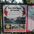 W01_8301 Mona Vale Garden Park - voor de liefde van of voor rozen
