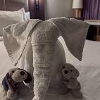 IMG_1702 Sloefie en Mimi met hun Towel Monster
