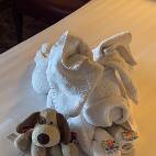 IXV_2767 Groote Broer met een Towel Varken