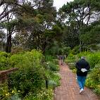 DSC02786 Wellington Botanic Garden - keuring