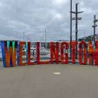 IXV_3085 Welkom in Wellington