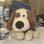 IXV_0587 Groote Broer, de betrouwbare waakhond. Het is al half een maar ik blijf wakker.