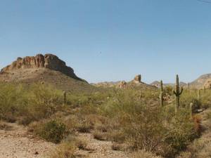 Arizona1999 Een bezoek aan het warme zuidwesten van de Verenigde Staten. En het zal niet het laatste zijn.
